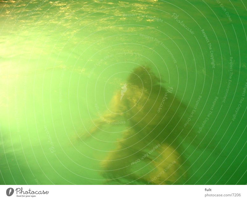 dive Dive Underwater photo Woman Waves Wet Leisure and hobbies Water no air Crouching Human being physical training Movement Swimming & Bathing