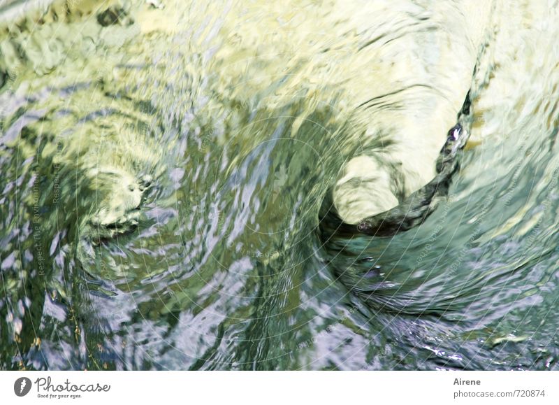 The water in the vortex turns faster and faster - a Royalty Free Stock  Photo from Photocase