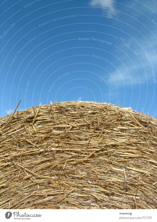 Summer 2006 Bale of straw Clouds Straw Sky Blue Detail
