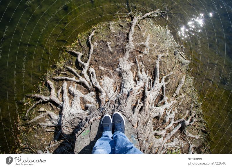 Back to the roots Lifestyle Style Joy Trip Adventure Human being Man Adults Feet 1 Environment Nature Water Tree Lake Stand Growth Old Tall Broken Brown