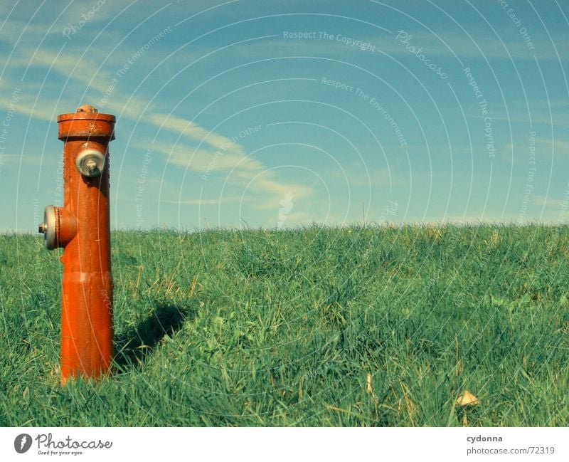 water dispenser Fire hydrant Red Meadow Grass Summer Refrigeration Statue Exceptional Society Expulsion Things Sky Column Nature bizarre Contrast Income