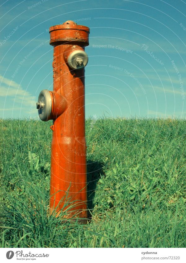 Water dispenser I Fire hydrant Red Meadow Grass Summer Refrigeration Statue Exceptional Society Expulsion Things Sky Column Nature bizarre Contrast Income