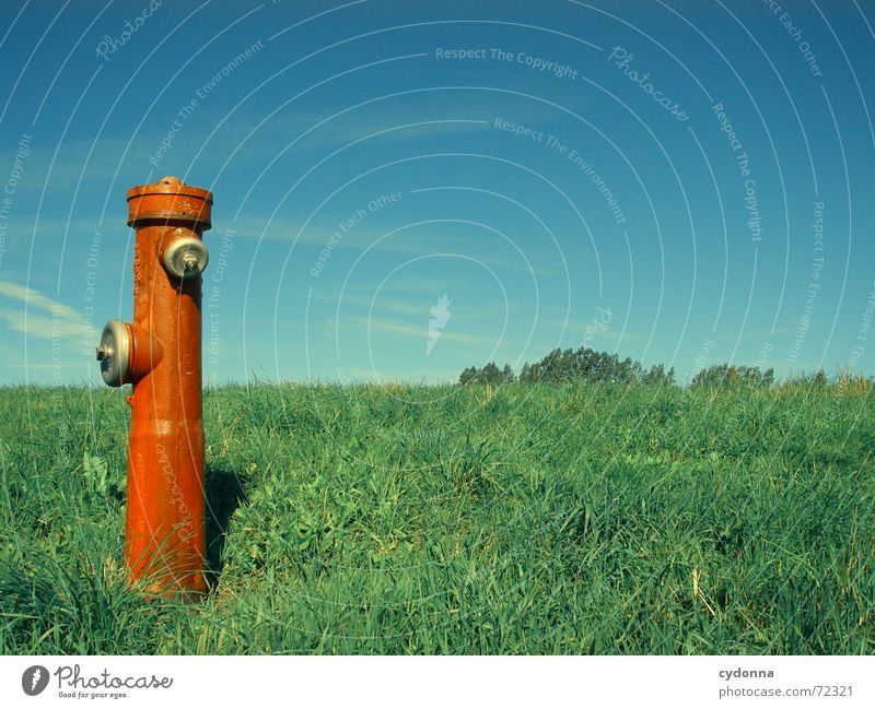 Water dispenser II Fire hydrant Red Meadow Grass Summer Refrigeration Statue Exceptional Society Expulsion Things Sky Column Nature bizarre Contrast Income