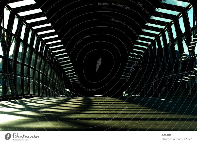 always straightforward II Tunnel Tunnel vision Light Sunbeam Wood Going Physics Pattern Bridge Woodway Warmth lines Line