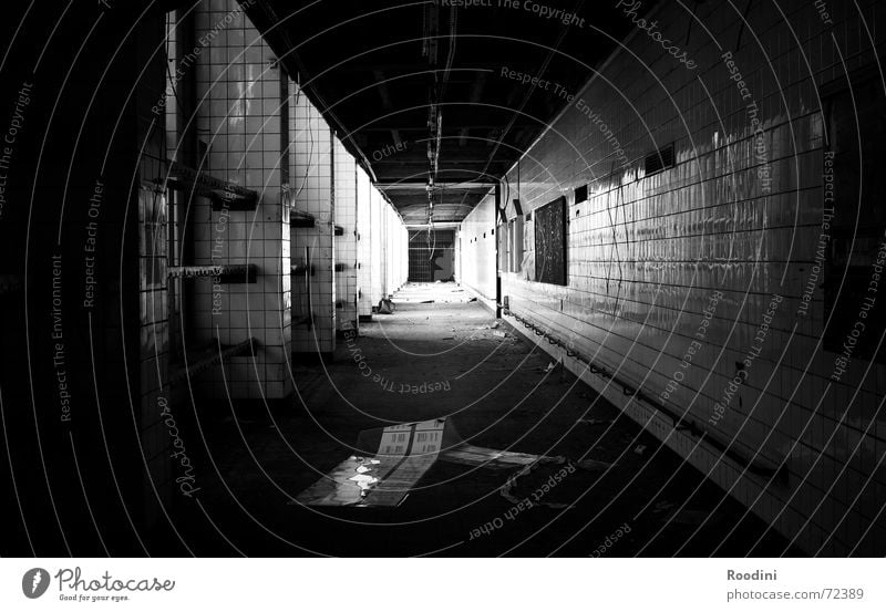 near-death experience Light Tunnel Building Dismantling Ripe for demolition Building rubble Derelict Factory Story Hallway Mine Creepy Shadow Shabby Old Life