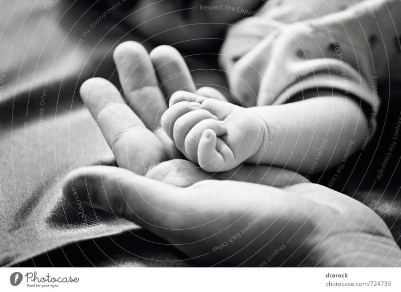 Little baby hand over his loving dad. Concept of love and family. Masculine Baby Father Adults Infancy Hand Fingers 2 Human being 0 - 12 months Beautiful
