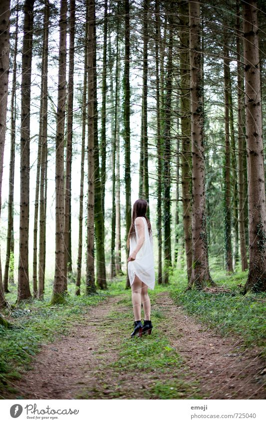 Where are you going? Feminine Young woman Youth (Young adults) 1 Human being 18 - 30 years Adults Environment Nature Forest Dress Exceptional Thin