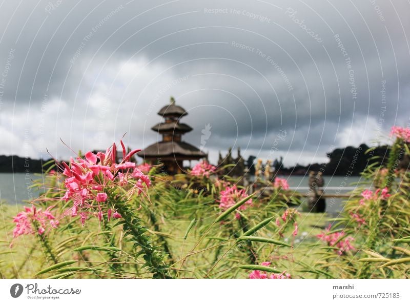 lovely Bali Leisure and hobbies Art Nature Plant Summer Climate Emotions Travel photography Asia Temple Clouds Lake water temple Flower Itinerary Lake Bratan