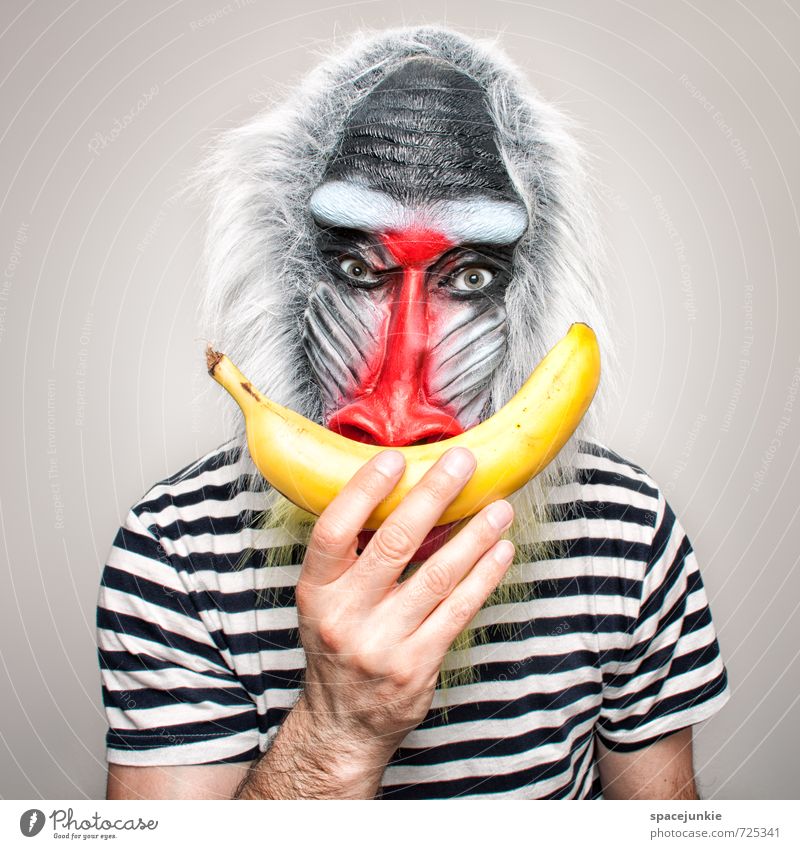 banana Human being Masculine Young man Youth (Young adults) 1 Art T-shirt Gray-haired Facial hair Animal Observe Touch Feeding Creepy Curiosity Yellow Red Black