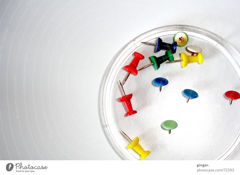 "Petri dish" with pins (1) Bowl Bright Colour Petri bowle Lie Multiple Copy Space left Blur Deserted Pin Difference drawing pins Point Round Light Stationery