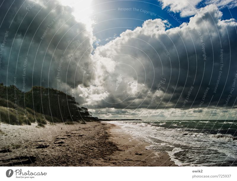 Clouds and waves Far-off places Freedom Environment Nature Landscape Elements Sand Sky Horizon Sun Sunlight Plant Bushes Waves Coast Beach Baltic Sea