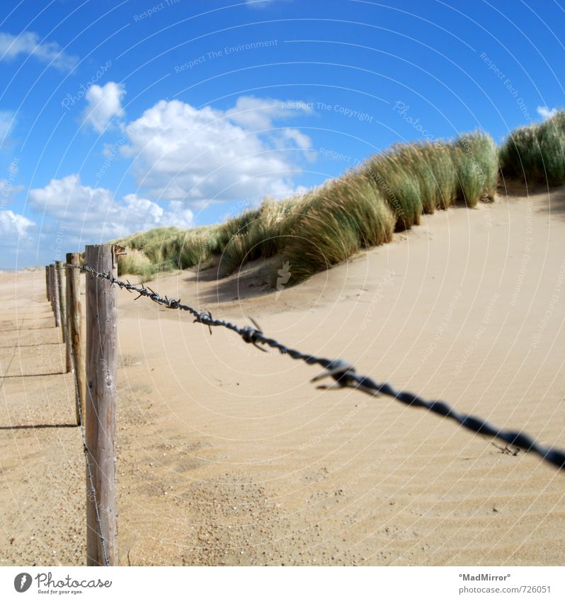 Locked Nature Sand Beach North Sea Baltic Sea Protection Barbed wire Barbed wire fence Barrier Nature reserve Beach dune Marram grass Colour photo Exterior shot