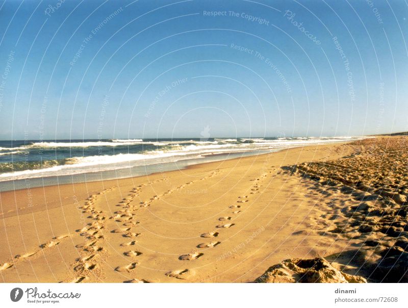 beach Waves Beach Footprint Calm Loneliness Sunset Atlantic Ocean Serene To enjoy Sand Water Blue sky