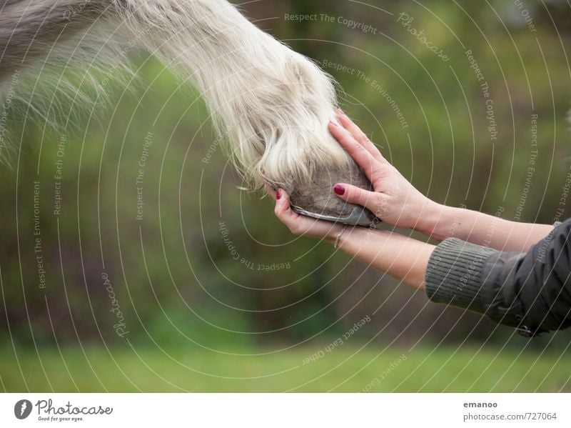 Give me hips! Joy Contentment Relaxation Equestrian sports Ride Human being Young woman Youth (Young adults) Woman Adults Hand Fingers 1 Nature Animal