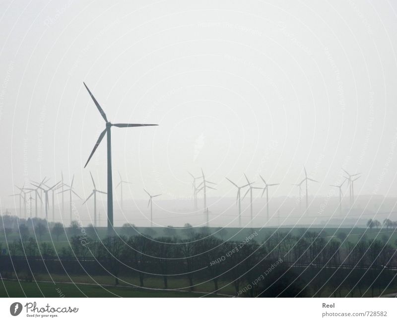 And another turn Agriculture Forestry Industry Energy industry Renewable energy Wind energy plant Nature Landscape Clouds Spring Bad weather Fog Field Pinwheel