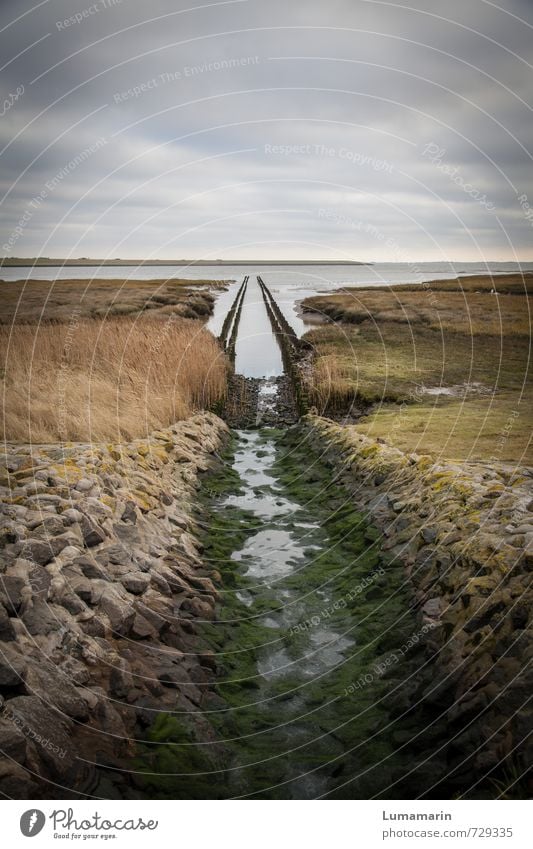 passage Environment Landscape Elements Earth Water Sky Clouds Horizon Bad weather North Sea Ocean Freedom Lanes & trails Target Vanishing point Channel Stone