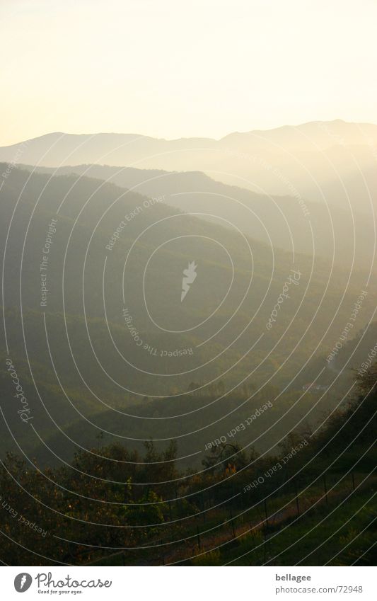 steamy Fog Yellow Horizon Green Hill Grass Bushes Italy Liguria Sunset Mountain Landscape Silhouette Shadow