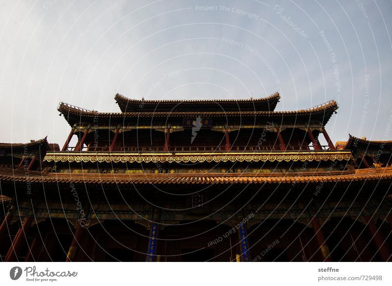 temple Beijing China Palace Eroticism Temple Cinese architecture Beautiful weather Sky Gold Colour photo Wide angle