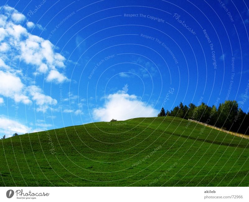 Teletubbies XP Meadow Grass Green Clouds Calm Background picture Safety (feeling of) Relaxation Exterior shot Nature Blue Sky Lawn Pasture Warmth