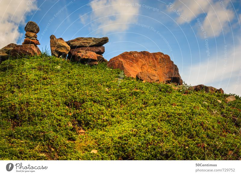 Stones in the garden Mountain Hiking Garden Nature Landscape Sky Clouds Summer Plant Moss Park Meadow Relaxation Freedom Leisure and hobbies Peace Calm