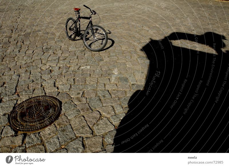 Well roared...01 Bicycle Gully Lion Braunschweig Shadow Cobblestones Structures and shapes Beautiful weather