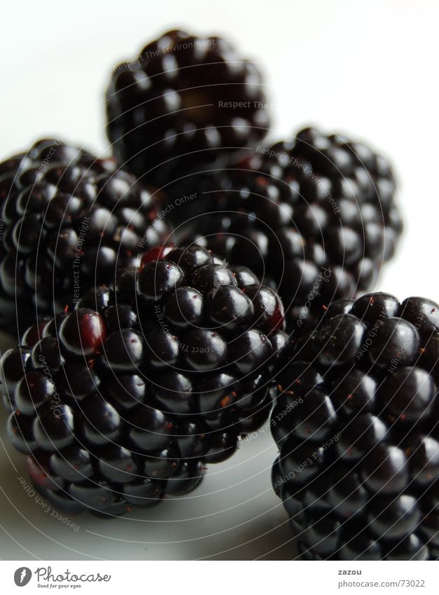 blackberry without email function! Colour photo Food Fruit Dessert Nutrition Sweet Vitamin Blackberry Berries