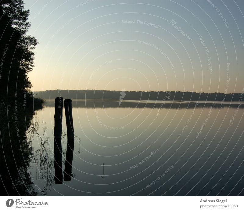 Mirror, mirror Lake Hölzerner Lake Background picture Reflection Tree trunk Dream Calm Relaxation Morning Dream world Column Mirror image Sunrise Summer Water