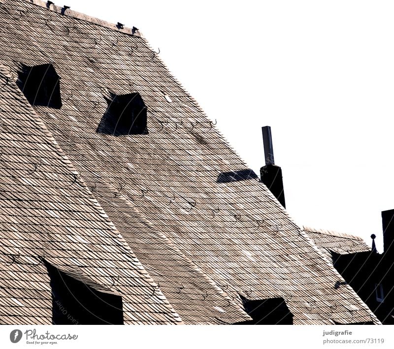 roof Roof Gable roof Roof ridge Cheek Gullet Cover Checkmark 4 Pigeon Bird Brick Roofing tile Calm Window Dormer House (Residential Structure) Old building