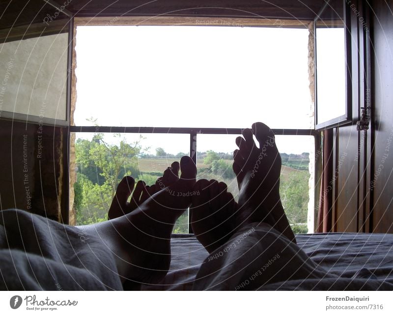 Good morning! Good morning! 2 Bed Wake up Window Tuscany Toes Together Future Thought Sleep Morning Vacation & Travel Leisure and hobbies Human being Open Feet