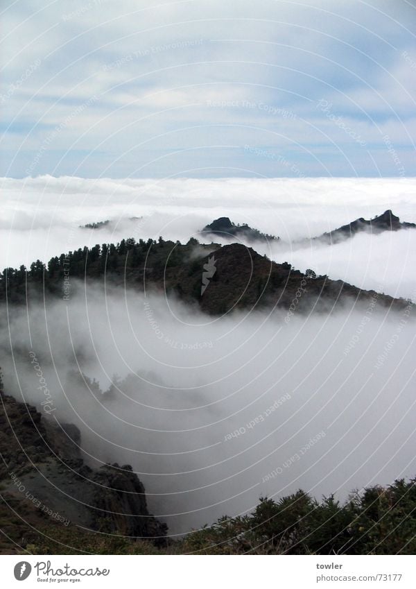 Above the peaks and clouds Mountain Clouds Fog Peak Large Blue Gray White Far-off places Cloud forest La Palma Colour photo Subdued colour Exterior shot