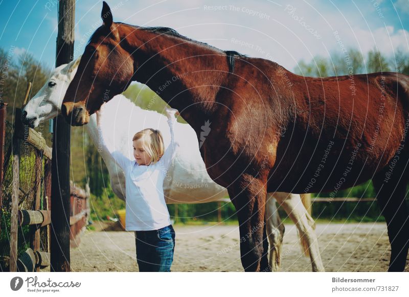 aiming high Vacation & Travel Trip Summer vacation Equestrian sports Human being Feminine Child Girl 1 3 - 8 years Infancy Animal Farm animal Horse 2 Touch
