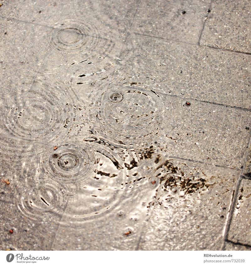 I didn't invent the rain. Rain Wet Dreary Damp Puddle Paving stone Drops of water Circle Weather Autumn Gloomy Colour photo Subdued colour Exterior shot Day