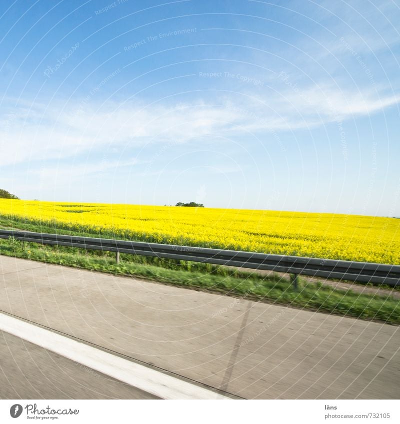 on the way Environment Nature Landscape Spring Beautiful weather Canola Field Transport Traffic infrastructure Motoring Street Lanes & trails Highway Movement