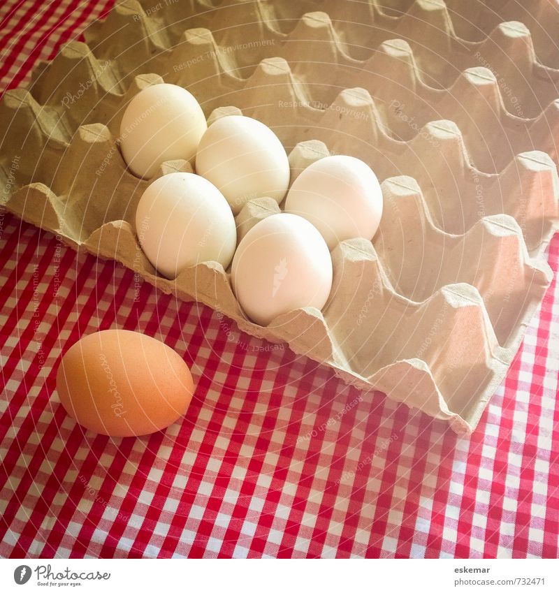 Egg individual Food Nutrition Organic produce Tablecloth Checkered Eggs cardboard Easter Esthetic Fresh Brown White Loneliness Uniqueness Equal Idea Identity