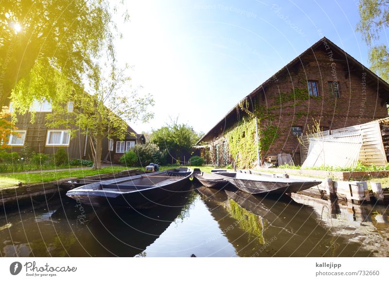 boat trip Vacation & Travel Tourism Trip Freedom Sightseeing Lakeside River bank Village Fishing village Authentic Spree Spreewald Fishing boat Quaint Jetty