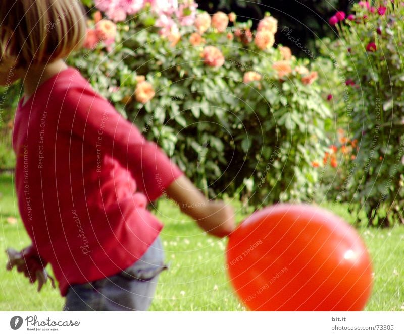 Funny, sweet girl runs rustic with red balloon in her hand in the garden in front of pink flowers in full bloom. Birthday child outside in nature is happy about a balloon for her party, holds it and runs with it over the green meadow.