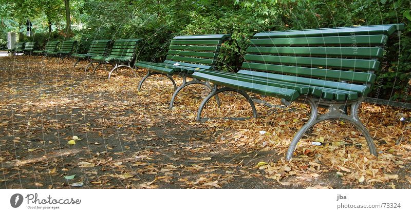 bank park Park Park bench Comfortable Uncomfortable Green Wooden board Iron Bushes Leaf Town Autumn Bench Sit