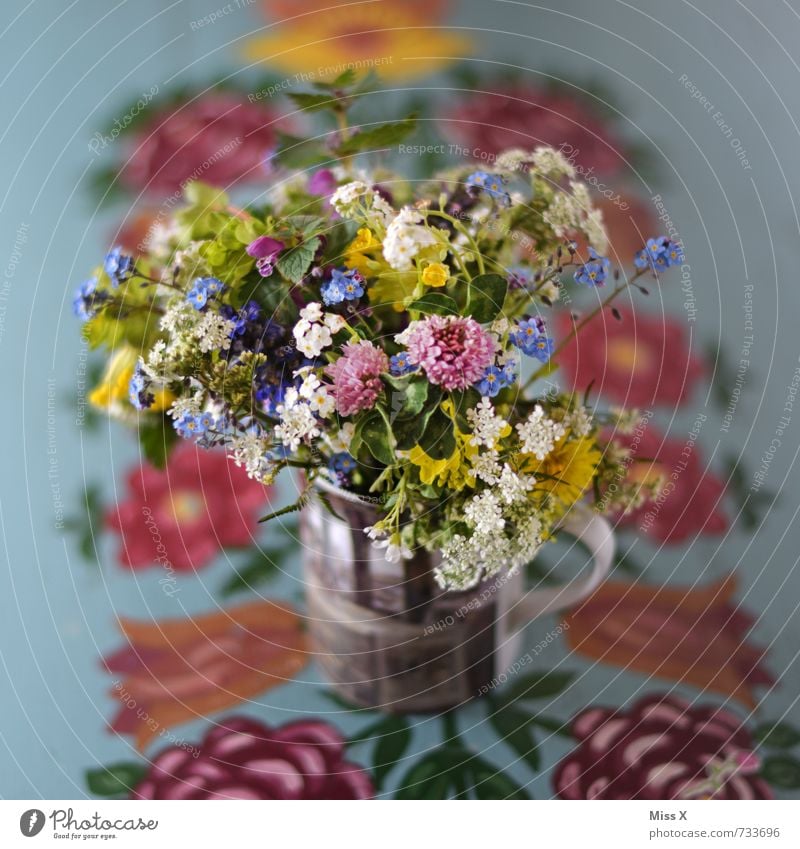 bouquet of meadow flowers Mug Mother's Day Plant Spring Summer Flower Blossom Wild plant Blossoming Fragrance Multicoloured Moody Infatuation Romance Bouquet