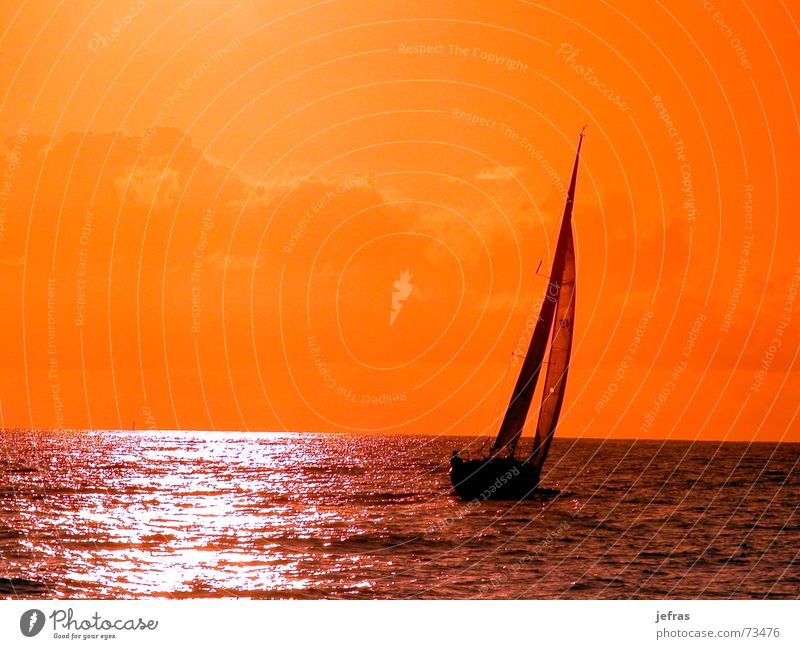 sailing to the sunset Sky Summer Sunset boat cruise Electricity pylon ocean Orange sea ship