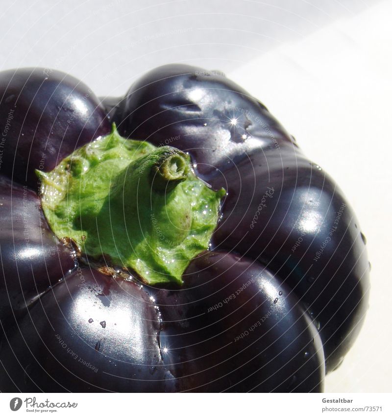 nightshade plant 1 Pepper Nutrition Healthy Vitamin Fresh Delicious Black Violet Formulated Vegetable Food