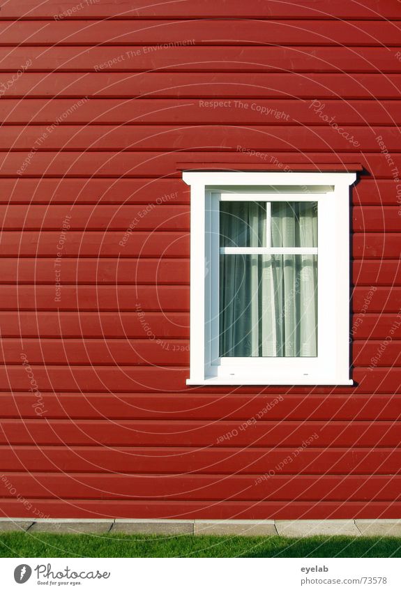 Swedish fancy Window Clean White Green Red House (Residential Structure) Wood Wood flour Building Wall (building) Curtain Sweden Lawn grass Garden