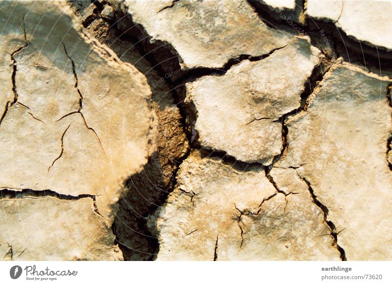 Mini Grand Canyon Dry Landscape format Broken Drought Vaulting Brown Longing Delicate Macro (Extreme close-up) Earth Crack & Rip & Tear Sewer Desert Close-up