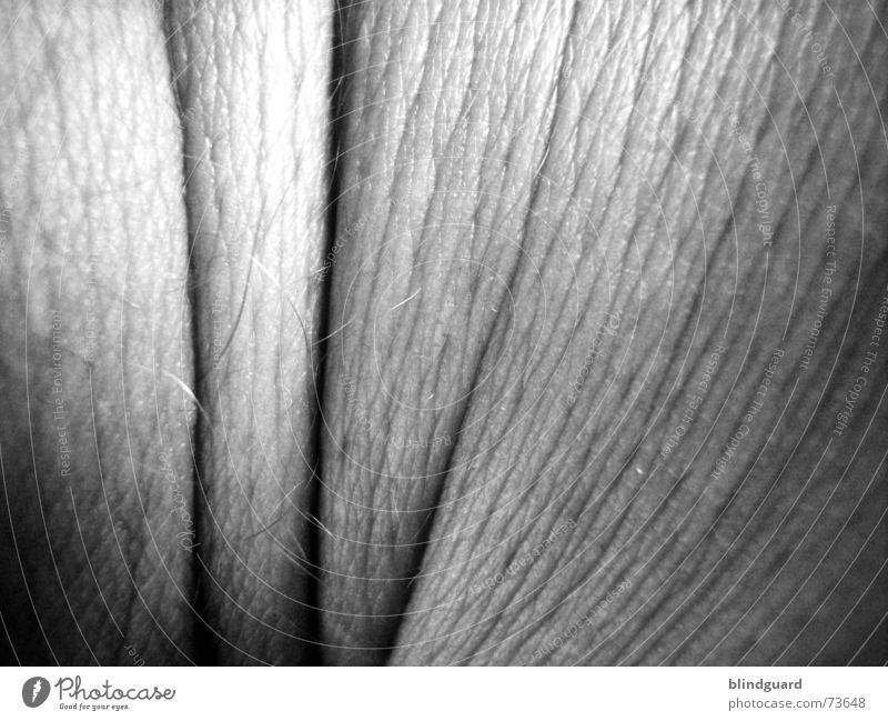 Only skin in black and white Joint Black White Pore Breathe Gray Living thing Macro (Extreme close-up) Wrinkles Hair and hairstyles Old Human being Life