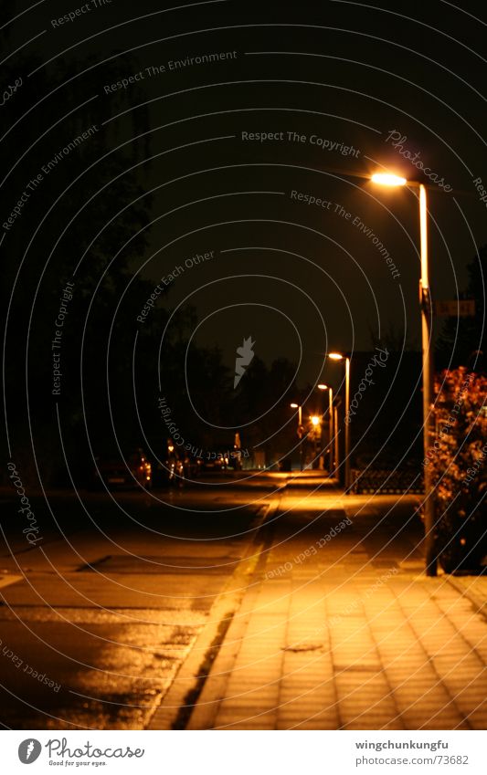 asphalt history Lantern Wet Night Light Asphalt Bushes Sidewalk Aluminium Black Dark Long exposure Street Shadow Signs and labeling Rain Lighting Sepia