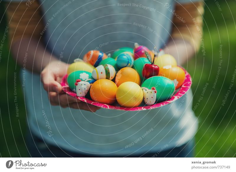 colorful Easter eggs Food Nutrition Breakfast Organic produce Plate Lifestyle Healthy Healthy Eating Harmonious Contentment Leisure and hobbies Playing