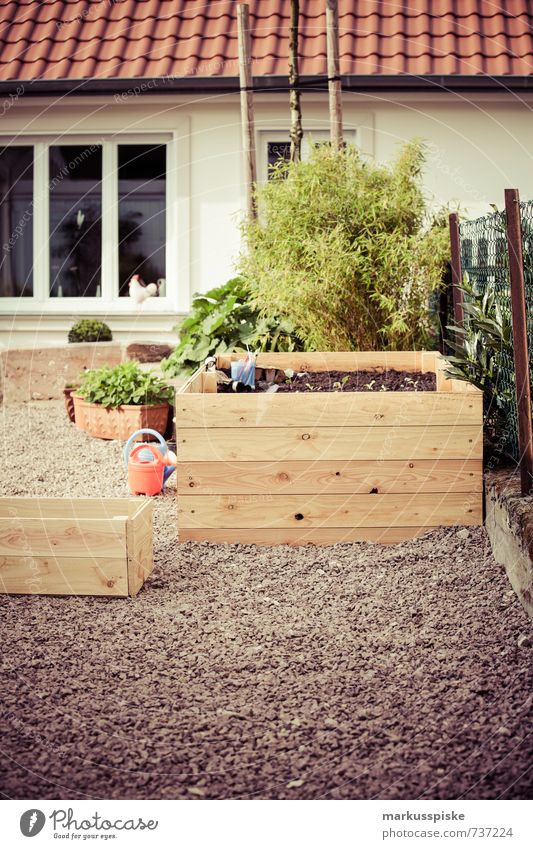 raised bed urban gardening Food Vegetable Lettuce Salad Fruit Herbs and spices Organic produce Vegetarian diet Diet Fasting Lifestyle Style Design Joy Happy