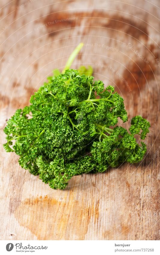 The curly Peter Food Organic produce Vegetarian diet Slow food Cheap Good Truth Honest Parsley Herbs and spices Raw uncooked Bundle Wooden board Rustic Damp