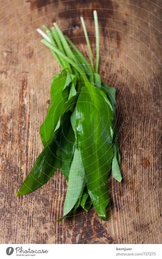 wild garlic Food Vegetable Organic produce Vegetarian diet Cheap Good Club moss Spring Herbs and spices Wooden board Rustic Raw Damp Ingredients Wet Dew Leaf