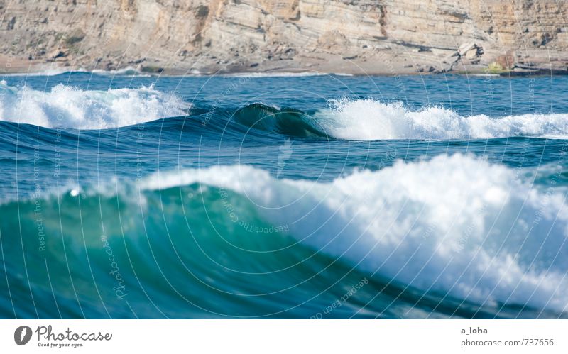 ocean olive Nature Landscape Elements Water Summer Climate Beautiful weather Warmth Rock Waves Coast Beach Bay Reef Ocean Natural Blue Contentment Wanderlust