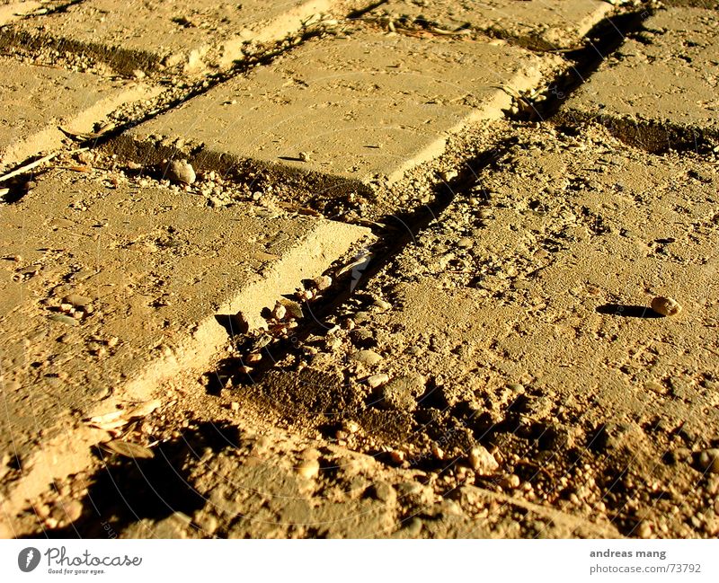 Hit the ground Seam Floor covering Prefab construction Dirty dirt Crack & Rip & Tear cracks Old Paving tiles